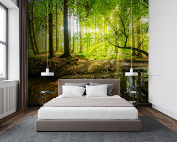 Forêt avec des arbres et le soleil qui brille à travers les arbres Papier peint Forêt avec des arbres et le soleil qui brille à travers les arbres