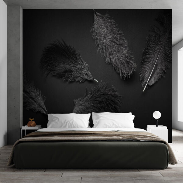 Plume noire sur une surface noire Papier peint Plume noire sur une surface noire