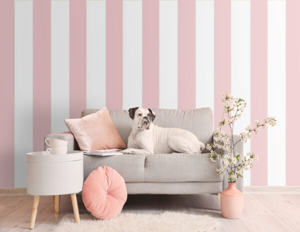 Motif rayé rose et blanc Papier peint Motif rayé rose et blanc