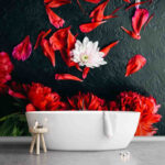 Papier peint Groupe de fleurs rouges avec pétales sur une surface noire