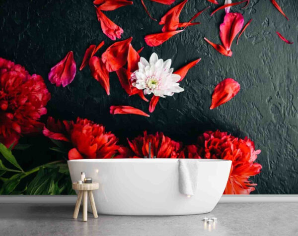 Groupe de fleurs rouges avec pétales sur une surface noire Papier peint Groupe de fleurs rouges avec pétales sur une surface noire