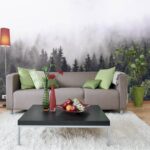 Papier peint Forêt d'arbres avec brouillard