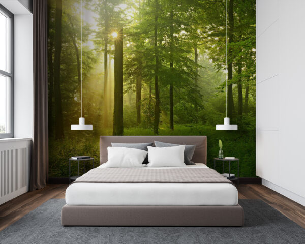 La lumière du soleil traverse une forêt luxuriante Papier peint La lumière du soleil traverse une forêt luxuriante