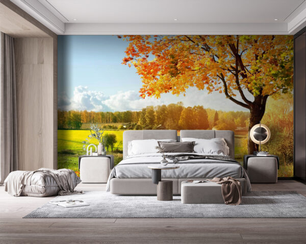 Arbre avec des feuilles d'oranger dans un champ Papier peint Arbre avec des feuilles d'oranger dans un champ
