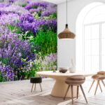 Papier peint Champ de fleurs violettes