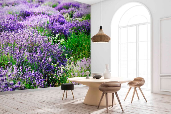 Champ de fleurs violettes Papier peint Champ de fleurs violettes