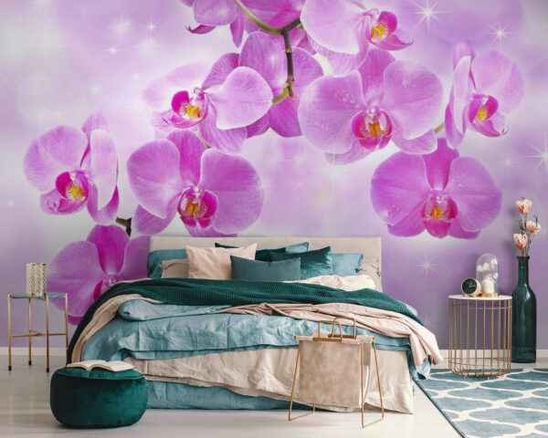 Orchidées délicates aux teintes douces Papier peint Orchidées délicates aux teintes douces