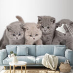 Papier peint D'adorables chatons prêts à jouer