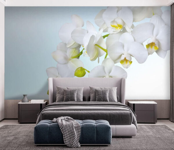 Orchidées blanches sur l'eau Papier peint Orchidées blanches sur l'eau