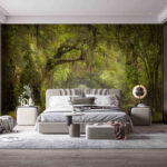 Papier peint Chemin de terre avec arbres et branches moussues