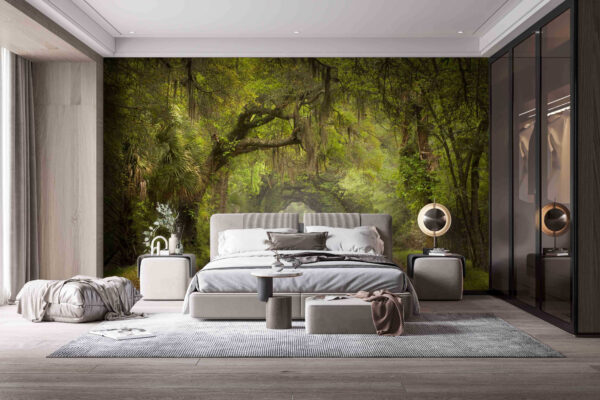Chemin de terre avec arbres et branches moussues Papier peint Chemin de terre avec arbres et branches moussues