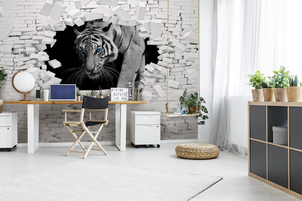 Tigre blanc aux yeux bleus Papier peint Tigre blanc aux yeux bleus