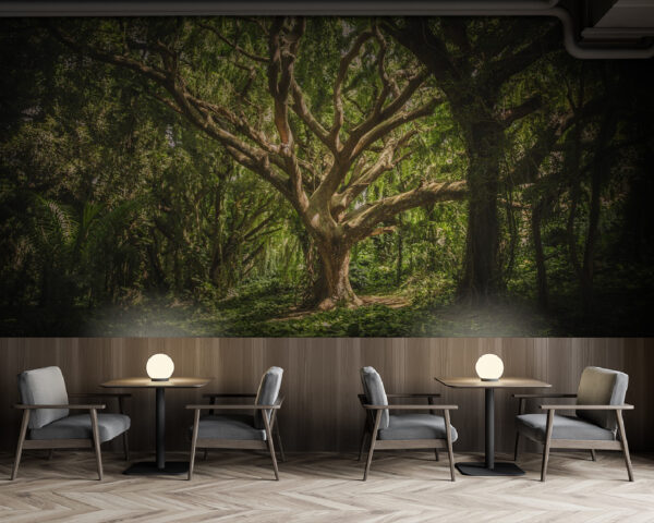 Grand arbre dans une forêt Papier peint Grand arbre dans une forêt