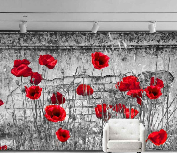Coquelicots rouges sur un mur texturé Papier peint Coquelicots rouges sur un mur texturé