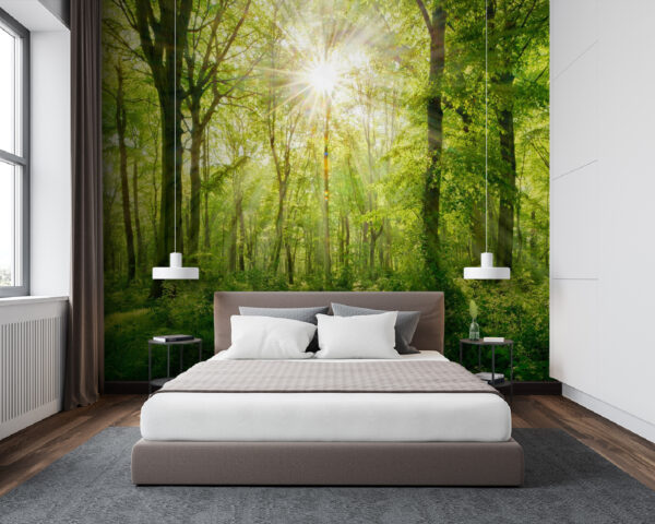 Le soleil brille à travers les arbres Papier peint Le soleil brille à travers les arbres
