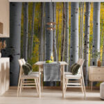 Papier peint Groupe d'arbres blancs avec des feuilles jaunes