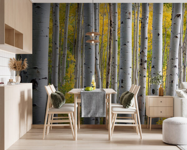 Groupe d'arbres blancs avec des feuilles jaunes Papier peint Groupe d'arbres blancs avec des feuilles jaunes