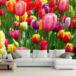 Papier peint Groupe de tulipes colorées