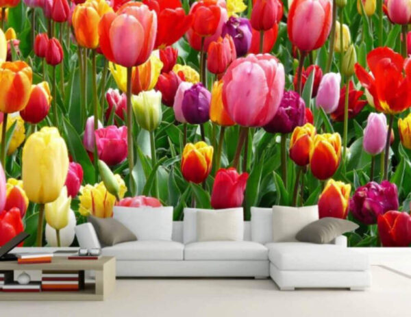 Groupe de tulipes colorées Papier peint Groupe de tulipes colorées