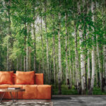 Papier peint Groupe d'arbres aux feuilles vertes