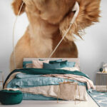 Papier peint Chien avec écouteurs