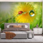 Papier peint Coccinelle sur un brin d'herbe