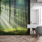 Papier peint Les rayons du soleil traversent la forêt