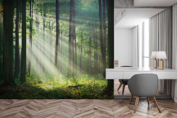 Les rayons du soleil traversent la forêt Papier peint Les rayons du soleil traversent la forêt