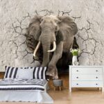 Papier peint Éléphant traversant le mur.