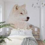 Papier peint Loup blanc dans la neige