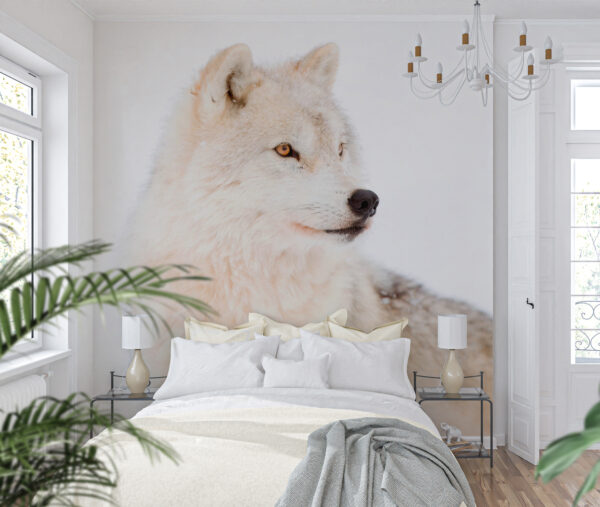 Loup blanc dans la neige Papier peint Loup blanc dans la neige