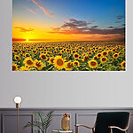 Tableaux Champ de tournesols