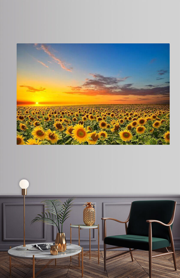 Champ de tournesols Tableaux Champ de tournesols