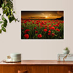Tableaux Coquelicots rouges sous le soleil couchant.
