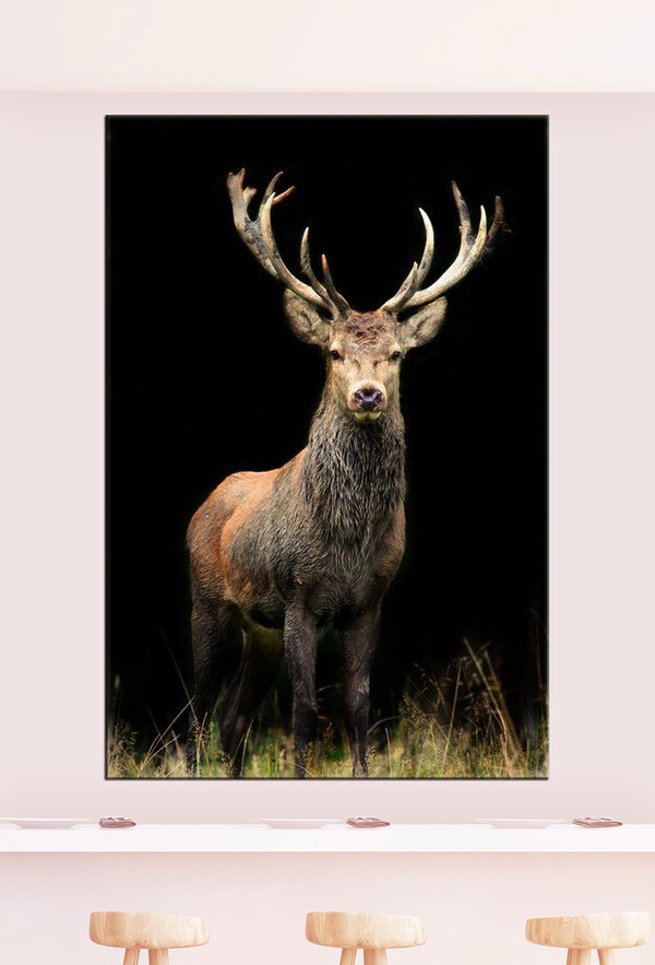 Cerf majestueux dans la forêt Tableaux Cerf majestueux dans la forêt