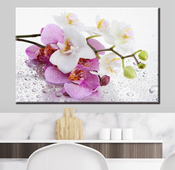 Les orchidées avec des gouttes d'eau brillent Tableaux Les orchidées avec des gouttes d'eau brillent