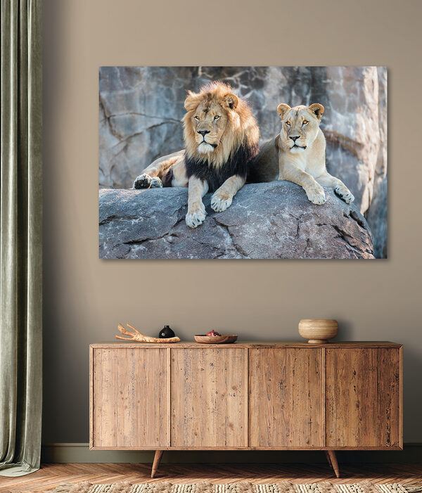 Couple de lions se reposant sur une corniche rocheuse Tableaux Couple de lions se reposant sur une corniche rocheuse