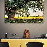 Tableaux Un arbre ombrage un champ sous un ciel ensoleillé.