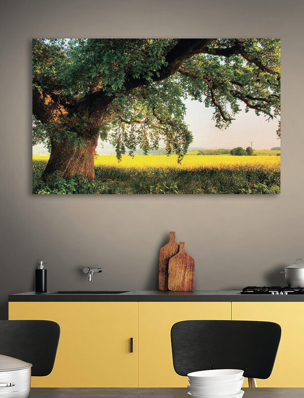 Un arbre ombrage un champ sous un ciel ensoleillé Tableaux Un arbre ombrage un champ sous un ciel ensoleillé