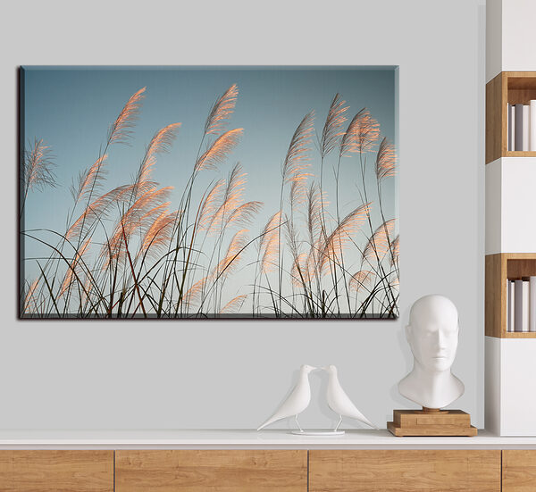 Groupe d'herbes hautes Tableaux Groupe d'herbes hautes