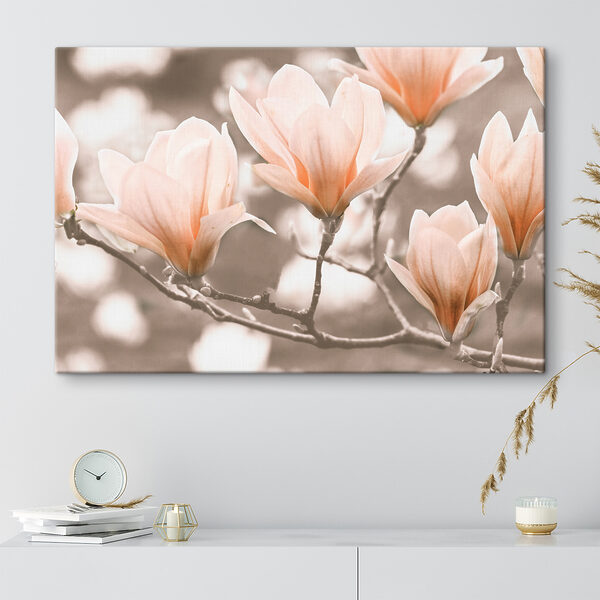 Magnolias en fleurs au printemps Tableaux Magnolias en fleurs au printemps