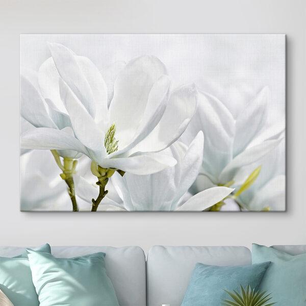 Le magnolia blanc fleurit au printemps Tableaux Le magnolia blanc fleurit au printemps