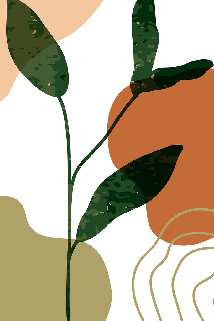 Image #1 à partir de Dumitru M.