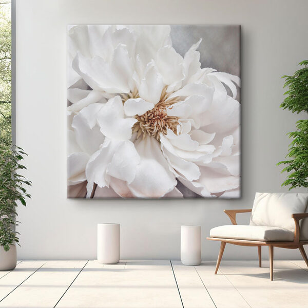 Pétales délicats d'un blanc tendre Tableaux Pétales délicats d'un blanc tendre