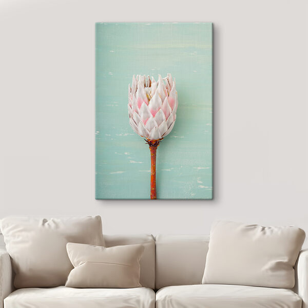 Fleur de Protea sur fond bleu Tableaux Fleur de Protea sur fond bleu