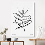 Tableaux Dessin en noir et blanc d'une plante