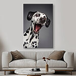 Tableaux Dalmatien surpris, les yeux écarquillés !