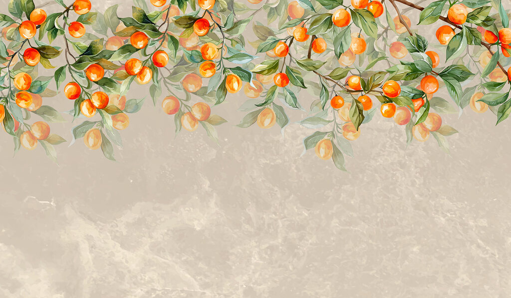 Image #1 à partir de Anja Van Kaam