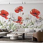 Papier peint Des coquelicots éclatants en pleine floraison