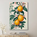 Tableaux Groupe de fruits sur une plante